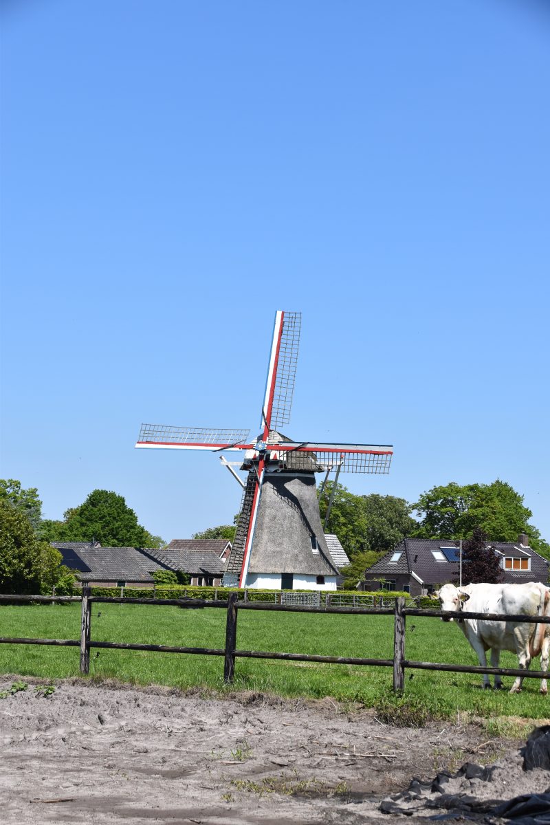 Molen Albertdina Noord-Sleen, Molens, Wieken, Emmen